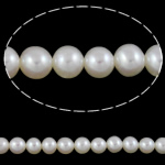 Perlas Redondas Freshwater, Perlas cultivadas de agua dulce, Esférico, natural, Blanco, 4-5mm, agujero:aproximado 0.8mm, Vendido para aproximado 15.7 Inch Sarta