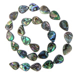 Abalone Shell Beads, Teardrop, nickel, lead & cadmium free, 10x14mm, Hole:Approx 1mm, Length:15 Inch, 10Strands/Lot, Sold By Lot