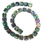 Abalone Shell Beads, Square, nickel, lead & cadmium free, 14x14x4mm, Hole:Approx 1mm, Length:15 Inch, 5Strands/Lot, Sold By Lot