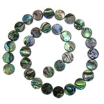 Abalone Shell Beads Flat Round nickel lead & cadmium free 10x2.5-3.5mm Approx 1mm Length Approx 15 Inch  Sold By Lot