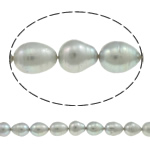 Perlas Arroz Freshwater, Perlas cultivadas de agua dulce, gris, Grado A, 10-11mm, agujero:aproximado 0.8mm, Vendido para 15 Inch Sarta