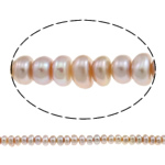 Button Kulturan Slatkovodni Pearl perle, svijetlo ljubičasta, 7-8mm, Rupa:Približno 0.8mm, Prodano Per Približno 15.5 inčni Strand