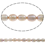 Cultured Rice Freshwater Pearl Beads, natural, purple, Grade A, 7-8mm, Hole:Approx 0.8mm, Sold Per 14.5 Inch Strand