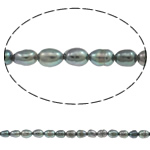 Cultured Rice Freshwater Pearl Beads natural purple Grade A 3-4mm Approx 0.8mm Sold Per 14 Inch Strand