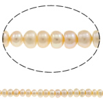 Button Kulturan Slatkovodni Pearl perle, roze, 6-7mm, Rupa:Približno 0.8mm, Prodano Per 14.5 inčni Strand