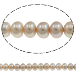 Tlačítko kultivované sladkovodní Pearl Beads, Kolo, přírodní, nachový, Grade AA, 10-11mm, Otvor:Cca 0.8mm, Prodáno za 15.5 inch Strand