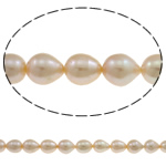 Perlas Arroz Freshwater, Perlas cultivadas de agua dulce, Rosado, Grado A, 10-11mm, agujero:aproximado 0.8mm, Vendido para aproximado 15.7 Inch Sarta