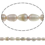 Cultured Rice Freshwater Pearl Beads, natural, purple, Grade AA, 10-11mm, Hole:Approx 0.8mm, Sold Per 15 Inch Strand