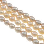 Riso coltivato in perla d'acqua dolce, perla d'acquadolce coltivata naturalmente, colori misti, grado A, 4-5mm, Foro:Appross. 0.8mm, Venduto per Appross. 14 pollice filo