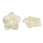 Natural Freshwater Shell Beads, Pearl Shell, Flower, 24x24x3mm, Hole:Approx 1mm, 10PCs/Lot, Sold By Lot