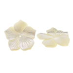 Natural Freshwater Shell Beads, Pearl Shell, Flower, 28x28x3mm, Hole:Approx 1mm, 10PCs/Lot, Sold By Lot