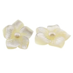 Natural Freshwater Shell Beads, Pearl Shell, Flower, half-drilled, white, 23x23x5mm, 10PCs/Lot, Sold By Lot