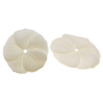 Natürliche weiße Muschelperlen, Blume, 21x21x2mm, Bohrung:ca. 1.5mm, 20PCs/Menge, verkauft von Menge
