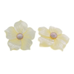 Natural Freshwater Shell Beads, Pearl Shell, Flower, half-drilled, 30x30x5mm, Hole:Approx 1mm, 10PCs/Lot, Sold By Lot
