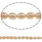 Cultured Rice Freshwater Pearl Beads, natural, pink, Grade A, 5-6mm, Hole:Approx 0.8mm, Sold Per Approx 14 Inch Strand