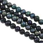 Barock kultivierten Süßwassersee Perlen, Natürliche kultivierte Süßwasserperlen, gemischte Farben, Grade A, 5-6mm, Bohrung:ca. 0.8mm, verkauft per 14.5 ZollInch Strang