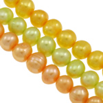 Barocco coltivate in acqua dolce Perla, perla d'acquadolce coltivata naturalmente, colori misti, grado A, 7-8mm, Foro:Appross. 0.8mm, Lunghezza 15 pollice, 10Strandstrefolo/borsa, Venduto da borsa