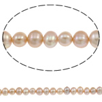 Knap ferskvandskulturperle Beads, Ferskvandsperle, Button, naturlig, lilla, 6-7mm, Hole:Ca. 0.8mm, Solgt Per Ca. 15.7 inch Strand