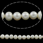 Cultured Potato Freshwater Pearl Beads, natural, white, 8-9mm, Hole:Approx 0.8mm, Sold Per Approx 15.7 Inch Strand