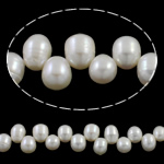Cultured Rice Freshwater Pearl Beads, natural, top drilled, white, 8-9mm, Hole:Approx 0.8mm, Sold Per Approx 15.7 Inch Strand