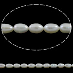 Perles d'eau douce de culture de riz, perle d'eau douce cultivée, naturel, blanc, 5-6mm, Trou:Environ 0.8mm, Vendu par Environ 15.7 pouce brin