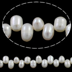 Cultured Rice Freshwater Pearl Beads, natural, top drilled, white, 5-6mm, Hole:Approx 0.8mm, Sold Per Approx 15.7 Inch Strand