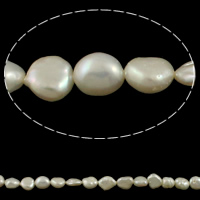 Coin ferskvandskulturperle Beads, Ferskvandsperle, naturlig, hvid, 7-8mm, Hole:Ca. 0.8mm, Solgt Per Ca. 15.3 inch Strand