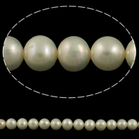 淡水養殖の真円真珠, 天然有核フレッシュウォーターパール, ラウンド形, 天然, ホワイト, 7-8mm, 穴:約 0.8mm, で販売される 約 15 インチ ストランド