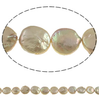 Coin Kulturan Slatkovodni Pearl perle, Novčić, prirodan, ljubičasta boja, 11-12mm, Rupa:Približno 0.8mm, Prodano Per Približno 14.5 inčni Strand