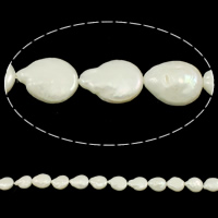 Perlas Moneda Freshwater, Perlas cultivadas de agua dulce, natural, Blanco, 11-13mm, agujero:aproximado 0.8mm, Vendido para aproximado 14.2 Inch Sarta