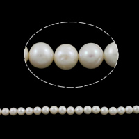 Perles de nacre rondes de culture d'eau douce, perle d'eau douce cultivée, naturel, blanc, grade A, 10-11mm, Trou:Environ 0.8mm, Vendu par 15.5 pouce brin