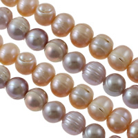Bulvių išauginti gėlavandenių perlų karoliukai, Gėlo vandens perlų, Bulvė, natūralus, mišrios spalvos, 10-11mm, Skylė:Apytiksliai 0.8mm, Parduota už Apytiksliai 15 Inch Strand