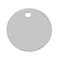accessoire d'étiquette en inox , Acier inoxydable 304, Plat rond, couleur originale, 10x1mm, Trou:Environ 1.2mm, Vendu par PC