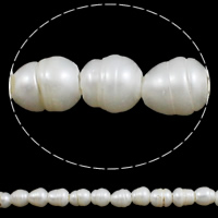 Riso coltivato in perla d'acqua dolce, perla d'acquadolce coltivata naturalmente, naturale, bianco, 6-7mm, Foro:Appross. 2mm, Venduto per Appross. 13.3 pollice filo