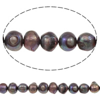 Barock kultivierten Süßwassersee Perlen, Natürliche kultivierte Süßwasserperlen, violett, 11-12mm, Bohrung:ca. 0.8mm, verkauft per ca. 14.5 ZollInch Strang