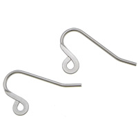 Stainless Steel Hook Earwire, 316 Stainless Steel, with loop, original color, 24x14.5x1mm, 1mm, Hole:Approx 2.2mm, 500Pairs/Lot, Sold By Lot