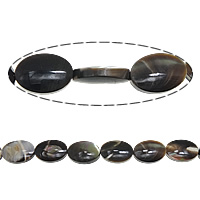 Trochus Beads, Flat Oval, 13x9x4mm, Hole:Approx 1mm, Length:Approx 16 Inch, 5Strands/Lot, Sold By Lot