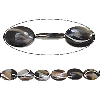 Trochus Beads, Flat Oval, 18x13x4mm, Hole:Approx 1mm, Length:Approx 16 Inch, 5Strands/Lot, Sold By Lot