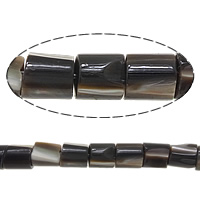 Top Shell Bead, 6x6mm, Hål:Ca 1.2mm, Längd Ca 16 inch, 10Strands/Lot, Säljs av Lot