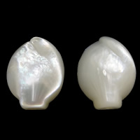 Perles en coquillage blanc naturel, coquille blanche, 12x16x5mm, Trou:Environ 1mm, 20PC/lot, Vendu par lot