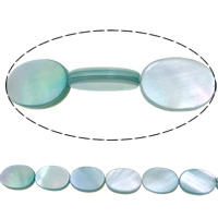 Perles en coquillage blanc naturel, coquille blanche, ovale plat, bleu, 14x10x3mm, Trou:Environ 1mm, Longueur:Environ 16 pouce, 10Strandstoron/lot, Environ 29PC/brin, Vendu par lot