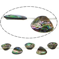 Abalone Shell Beads, 18x13x3.50mm, Hole:Approx 1.5mm, Length:Approx 16 Inch, 5Strands/Lot, Approx 22PCs/Strand, Sold By Lot