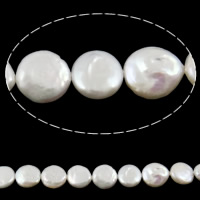 Ferskvandsperle Bead, Coin, naturlig, hvid, 11-12mm, Hole:Ca. 0.8mm, Solgt Per Ca. 15 inch Strand