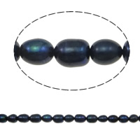 Riso coltivato in perla d'acqua dolce, perla d'acquadolce coltivata naturalmente, naturale, nero, grado A, 6-7mm, Foro:Appross. 0.8mm, Venduto per 14 pollice filo