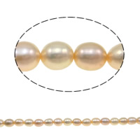 Rice Kulturan Slatkovodni Pearl perle, Riža, prirodan, ljubičasta boja, ocjena AA, 6-7mm, Rupa:Približno 0.8mm, Prodano Per Približno 15 inčni Strand