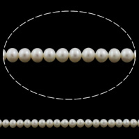 Knap ferskvandskulturperle Beads, Ferskvandsperle, Button, naturlig, hvid, 6mm, Hole:Ca. 0.8mm, Solgt Per Ca. 15.3 inch Strand
