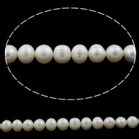 Brambor pěstované sladkovodní perle, Sladkovodní Pearl, přírodní, bílý, 9-10mm, Otvor:Cca 0.8mm, Prodáno za Cca 15.3 inch Strand