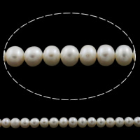 Button Kulturan Slatkovodni Pearl perle, Dugme, prirodan, bijel, 7-8mm, Rupa:Približno 0.8mm, Prodano Per Približno 15.3 inčni Strand