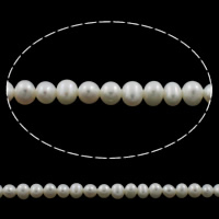 Perlas Botón Freshwater , Perlas cultivadas de agua dulce, natural, Blanco, 3.6-4mm, agujero:aproximado 0.8mm, Vendido para aproximado 15.5 Inch Sarta
