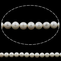Perlas Patata Freshwater, Perlas cultivadas de agua dulce, natural, Blanco, 8-9mm, agujero:aproximado 0.8mm, Vendido para aproximado 15.7 Inch Sarta